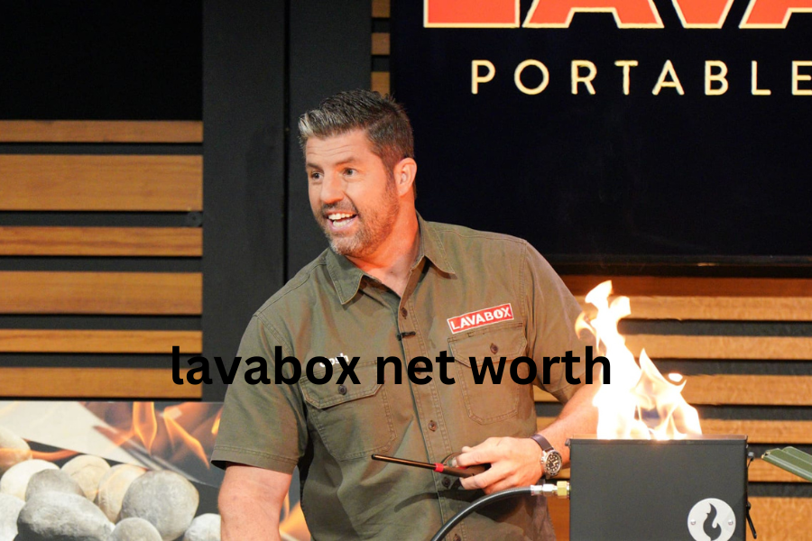 Lavabox Net Worth