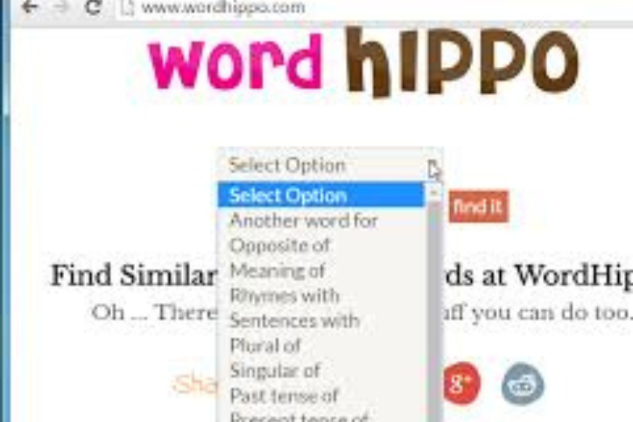 word hippoa translator