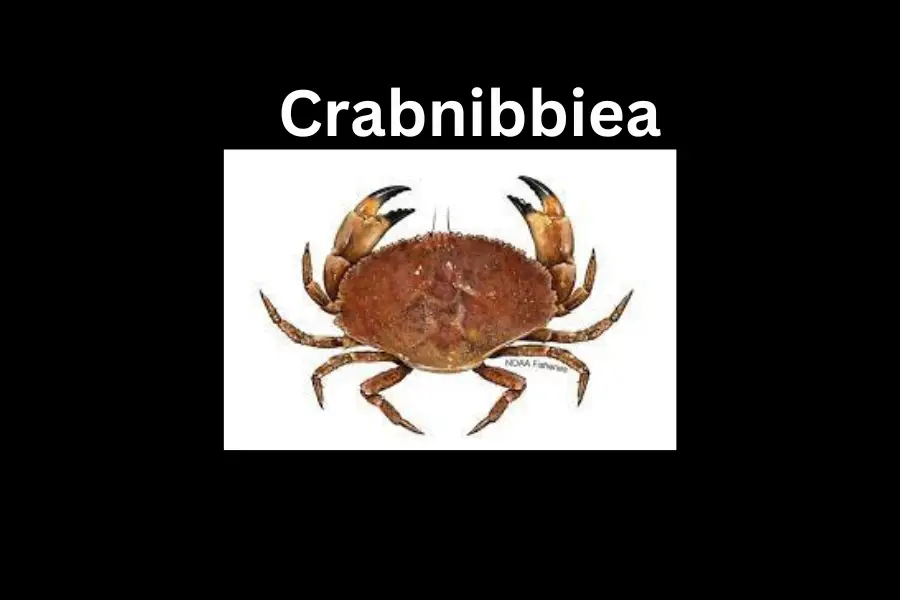 Crabnibbie