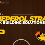 VLINEPEROL Strategic Link Building Solutions