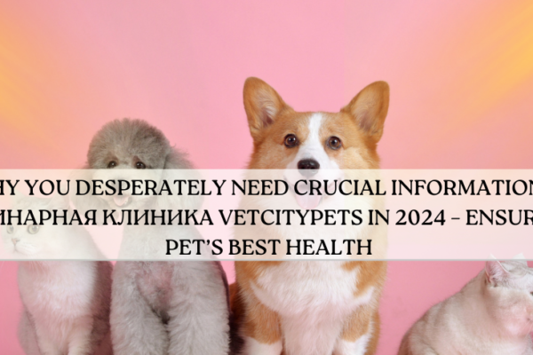 ветеринарная клиника vetcitypets