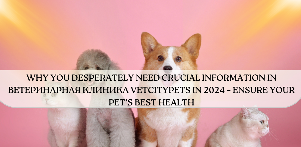 ветеринарная клиника vetcitypets